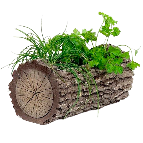 Цветочницы