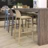 Стул пластиковый полубарный Faro Mini тортора 475х495х865 мм